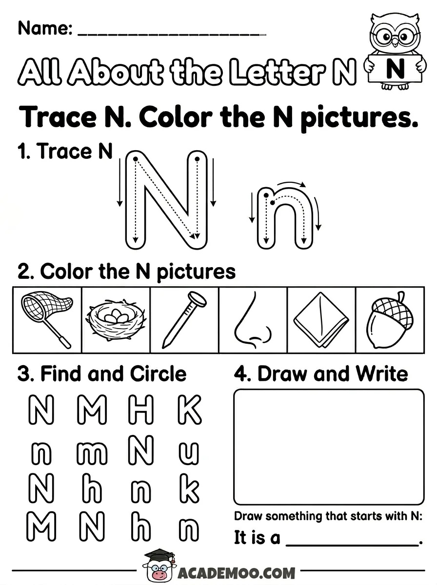 All About the Letter N worksheet — kindergarten language arts printable PDF · Free printable All About the Letter N worksheet for Kindergarten.