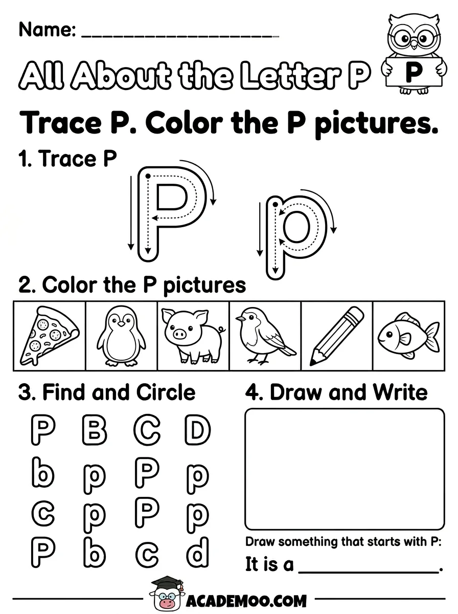 All About the Letter P worksheet — kindergarten language arts printable PDF · Free printable All About the Letter P worksheet for Kindergarten.