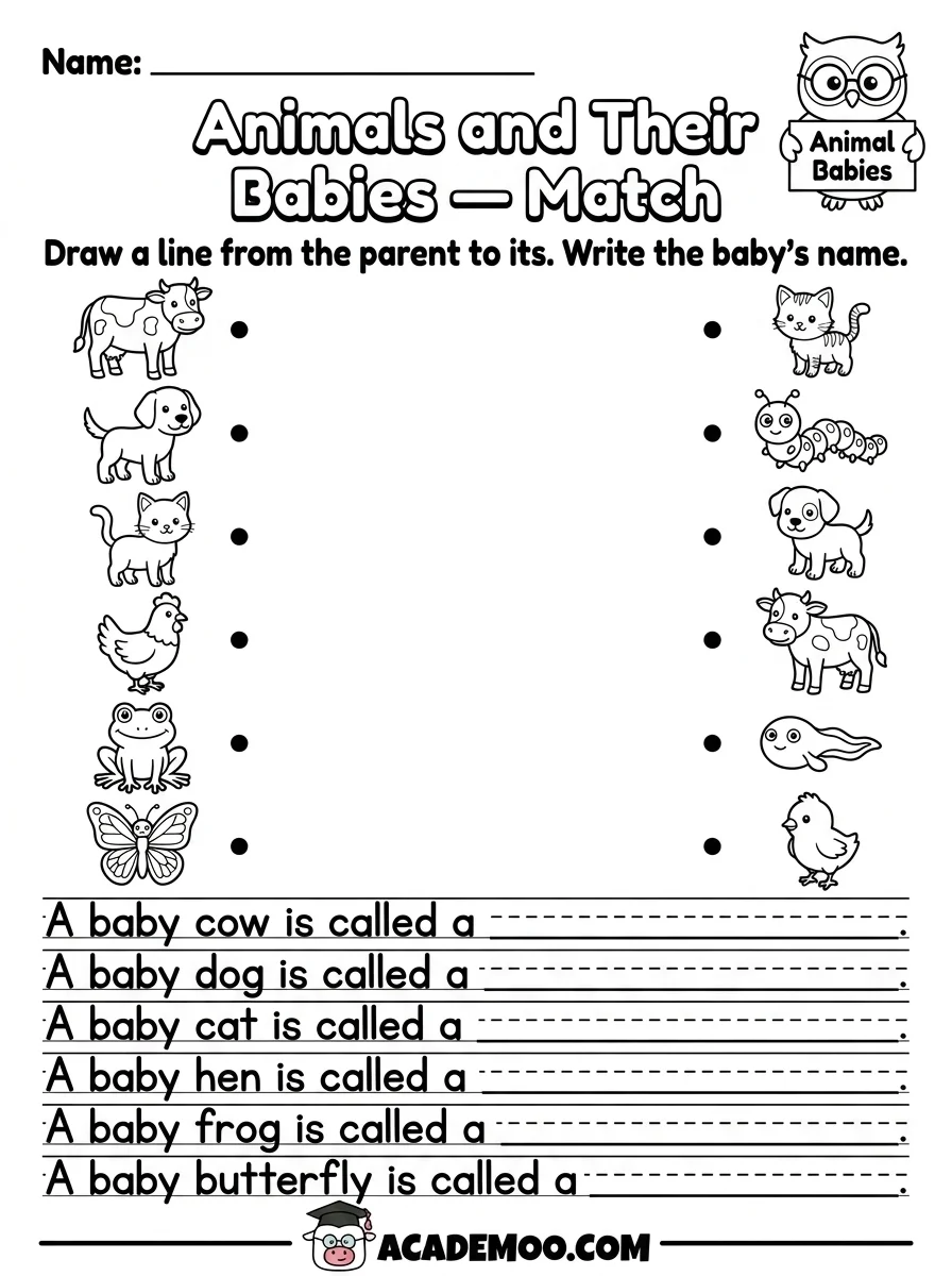 Animals and Their Babies worksheet — kindergarten science printable PDF · Free printable animals and their babies worksheet for Kindergarten.
