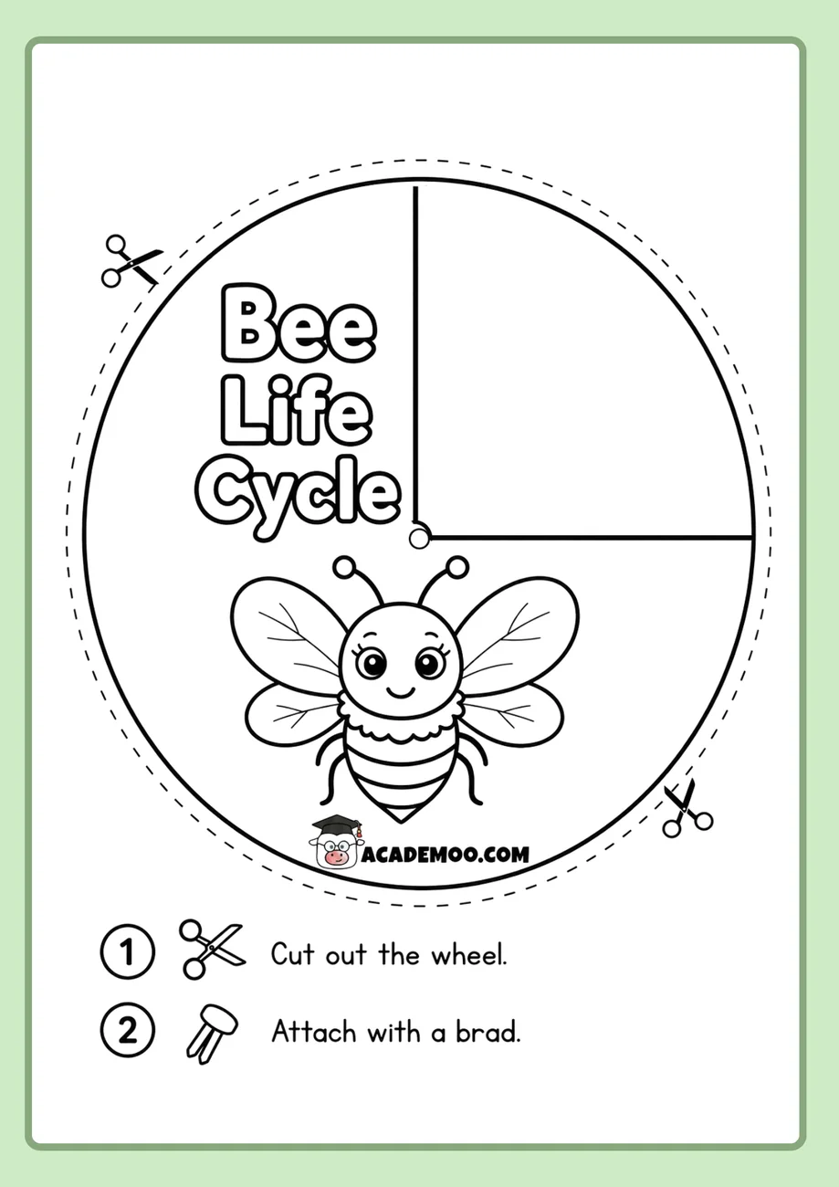 Bee Life Cycle Wheel worksheet — 1st grade science printable PDF · Free printable bee life cycle wheel worksheet for 1st Grade.