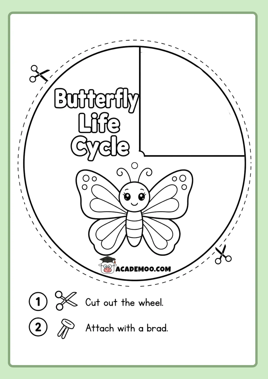 Butterfly Life Cycle Wheel worksheet — 1st grade science printable PDF · Free printable butterfly life cycle wheel worksheet for 1st Grade.