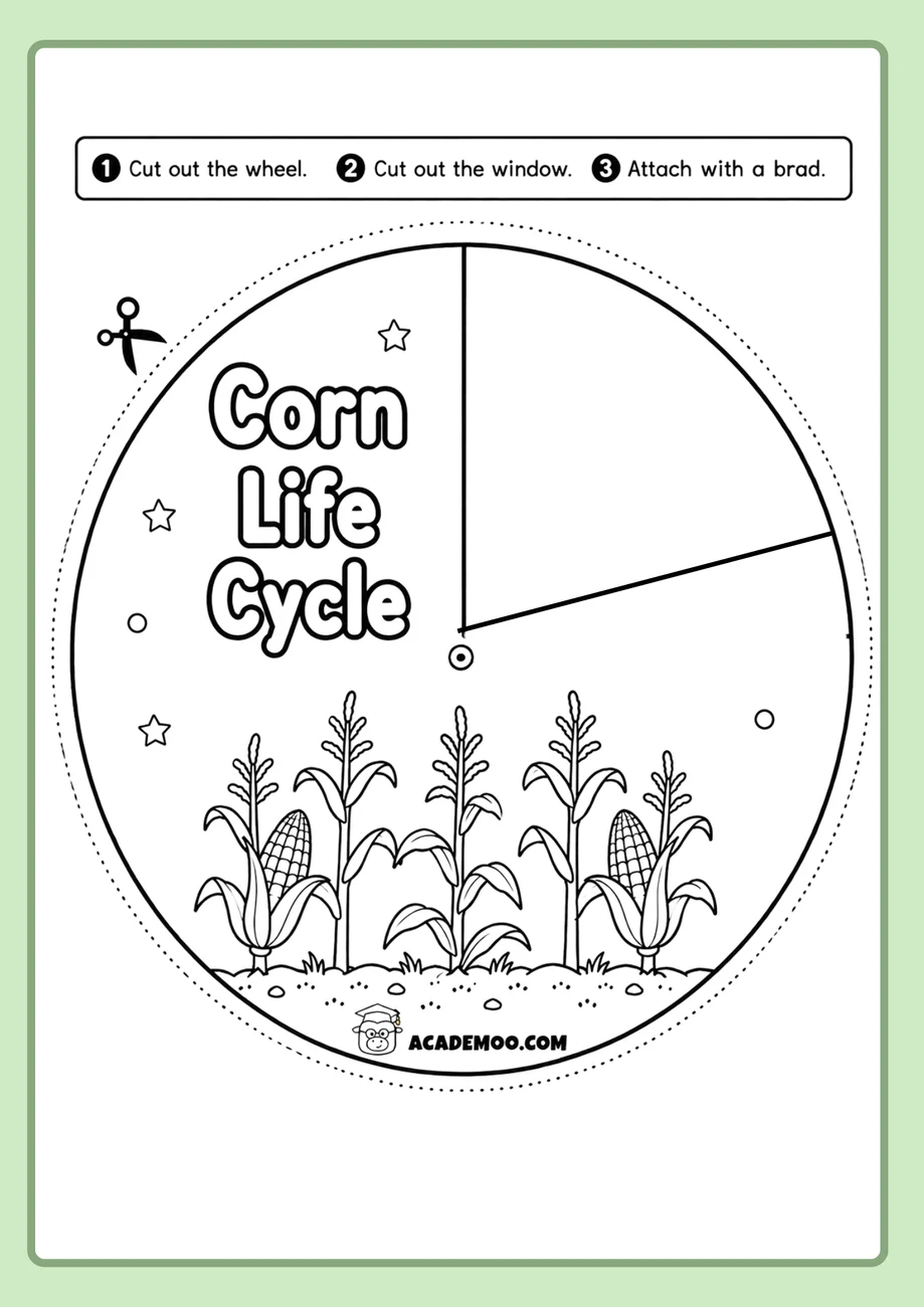 Corn Life Cycle Wheel worksheet — 1st grade science printable PDF · Free printable corn life cycle wheel worksheet for 1st Grade.