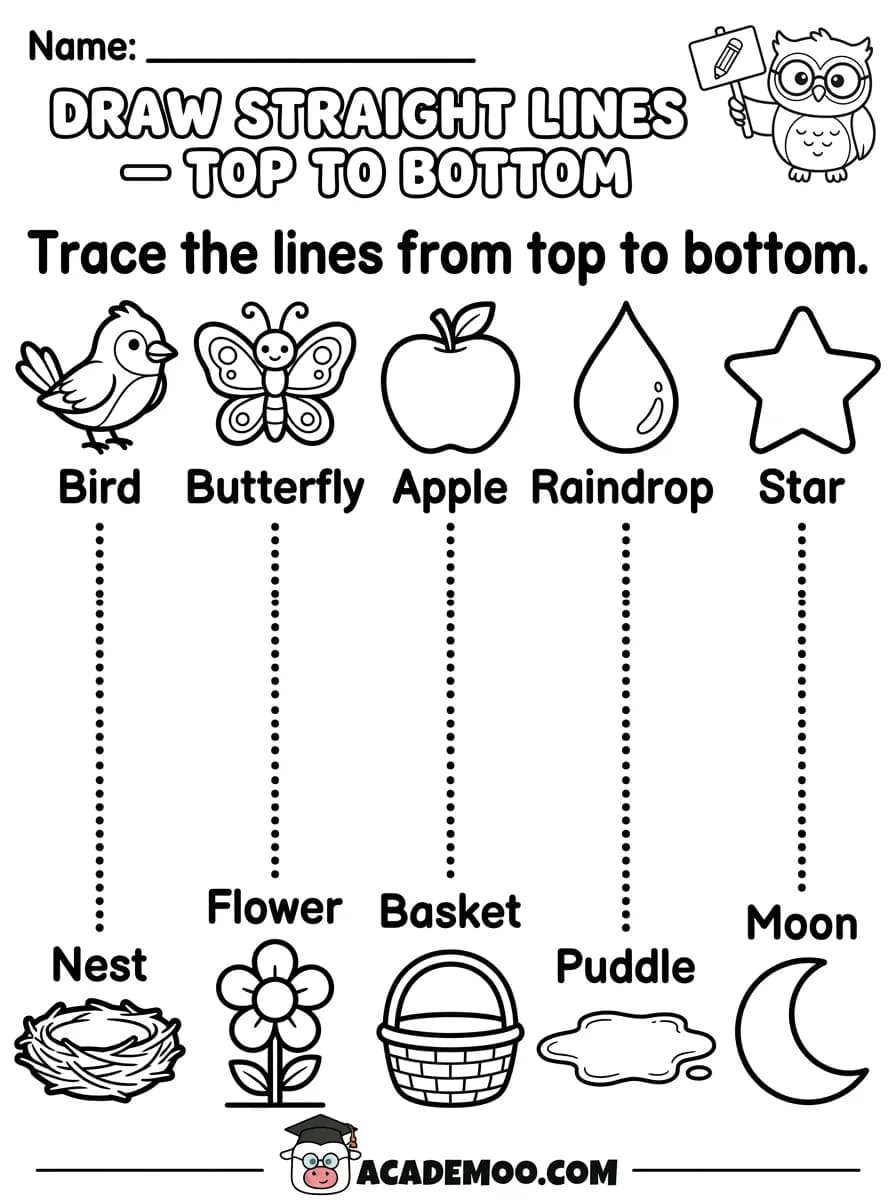 Draw Straight Lines Top to Bottom worksheet — pre-k language arts printable PDF · Free printable draw straight lines top to bottom worksheet for Pre-K.