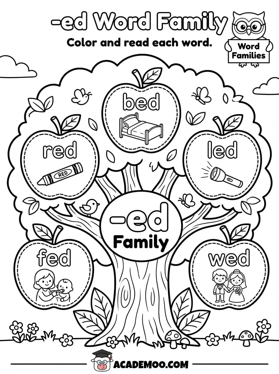 -ed Word Family worksheet — kindergarten language arts printable PDF · Color and read each -ed word on the apple tree: bed, red, led, fed, wed.
