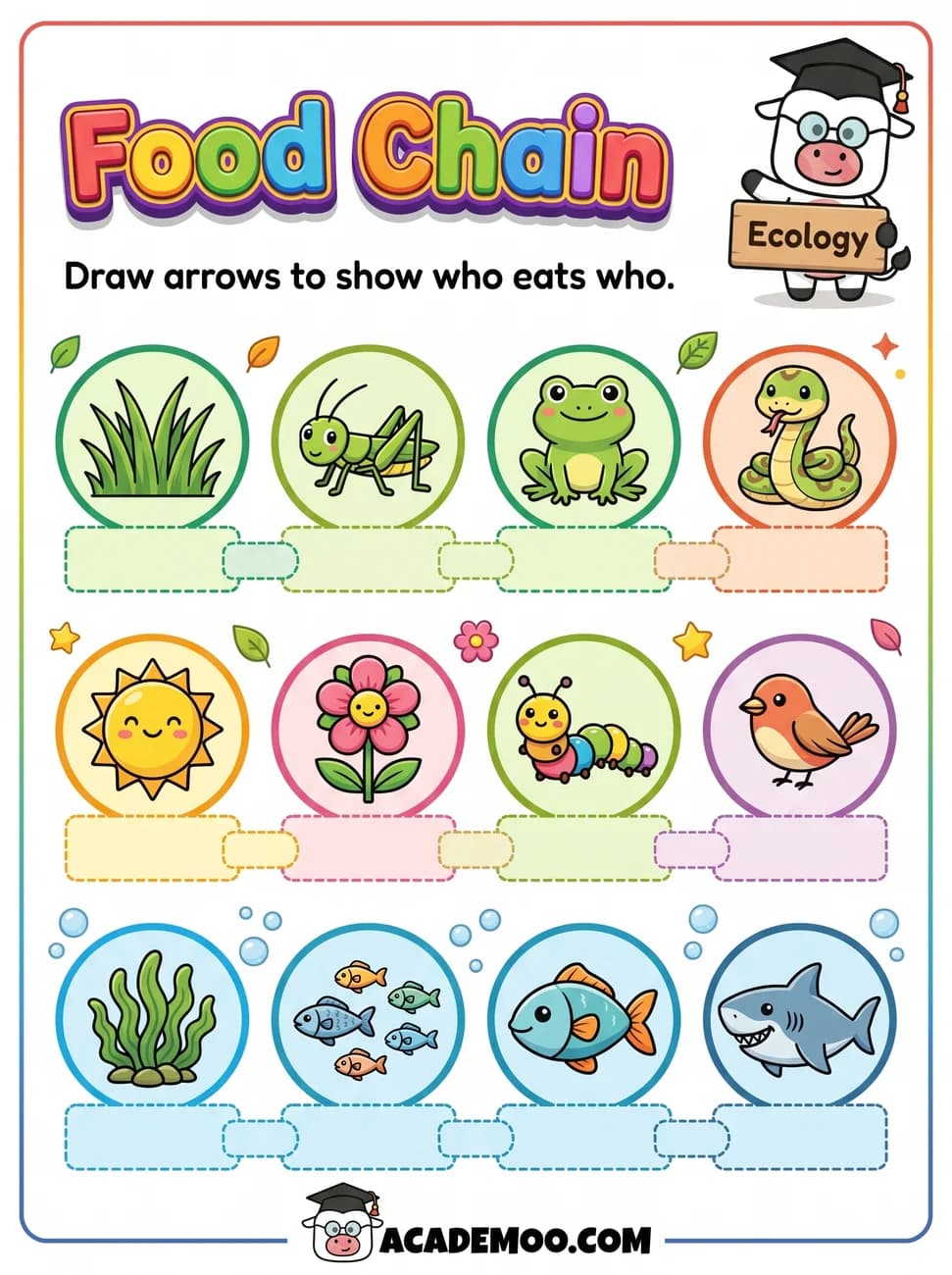 Food Chain worksheet — 1st grade science printable PDF · Free printable food chain worksheet for 1st Grade.