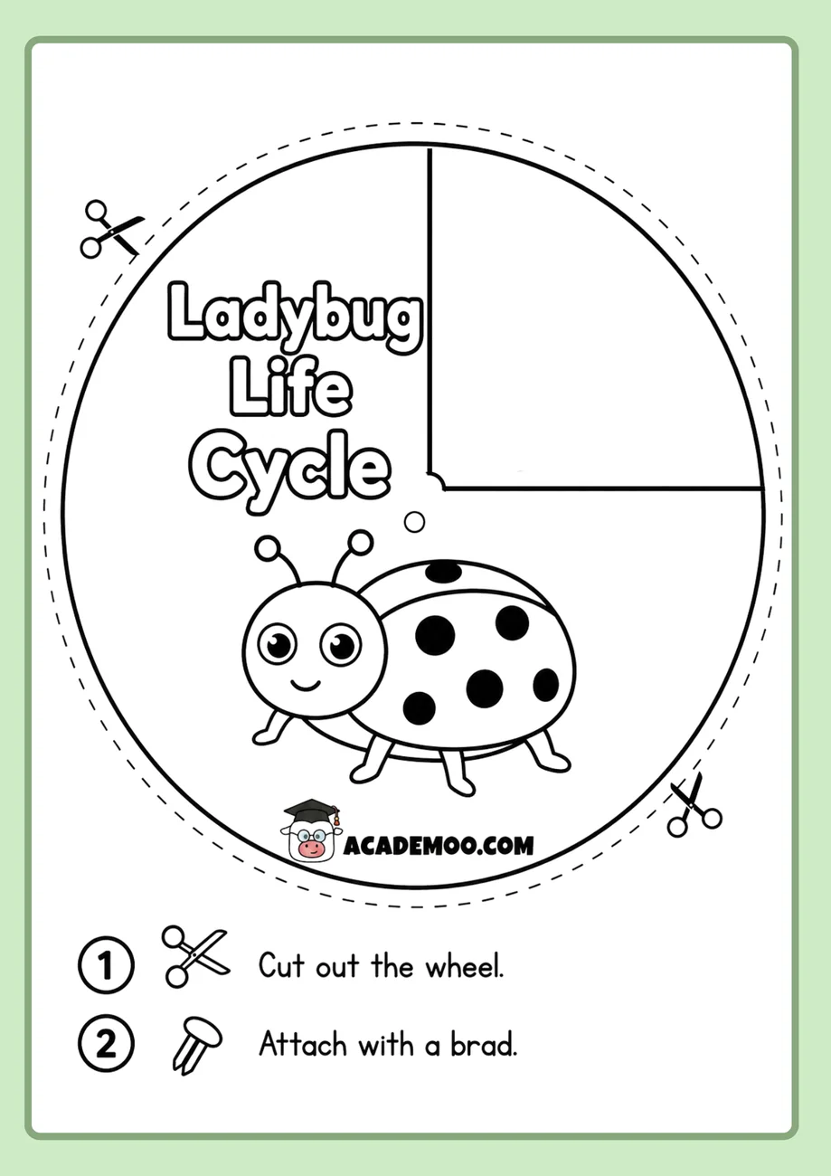 Ladybug Life Cycle Wheel worksheet — 1st grade science printable PDF · Free printable ladybug life cycle wheel worksheet for 1st Grade.