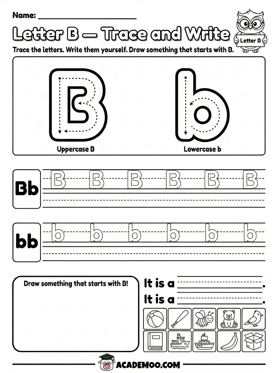 Letter B Trace and Write worksheet — pre-k language arts printable PDF · Free printable letter b trace and write worksheet for Pre-K.