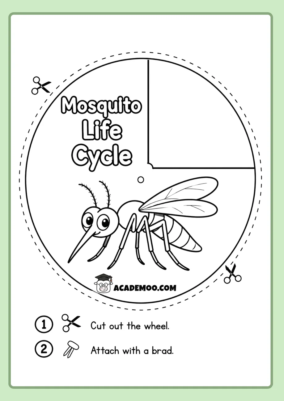 Mosquito Life Cycle Wheel worksheet — 1st grade science printable PDF · Free printable mosquito life cycle wheel worksheet for 1st Grade.