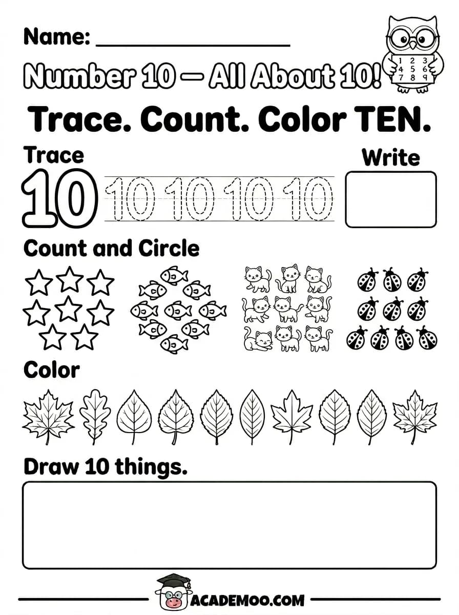 Number 10 All About 10 worksheet — kindergarten math printable PDF · Free printable number 10 all about 10 worksheet for Kindergarten.