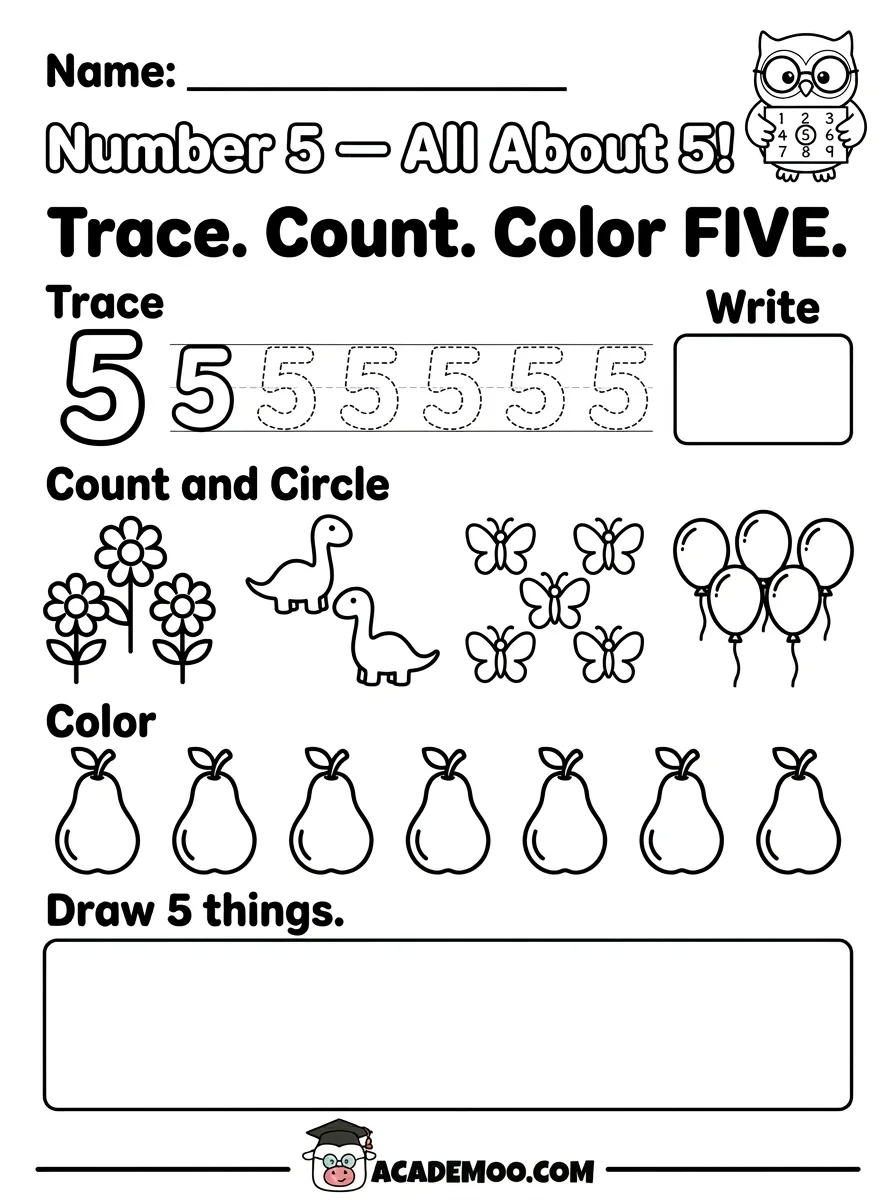 Number 5 All About 5 worksheet — pre-k math printable PDF · Free printable number 5 all about 5 worksheet for Pre-K.