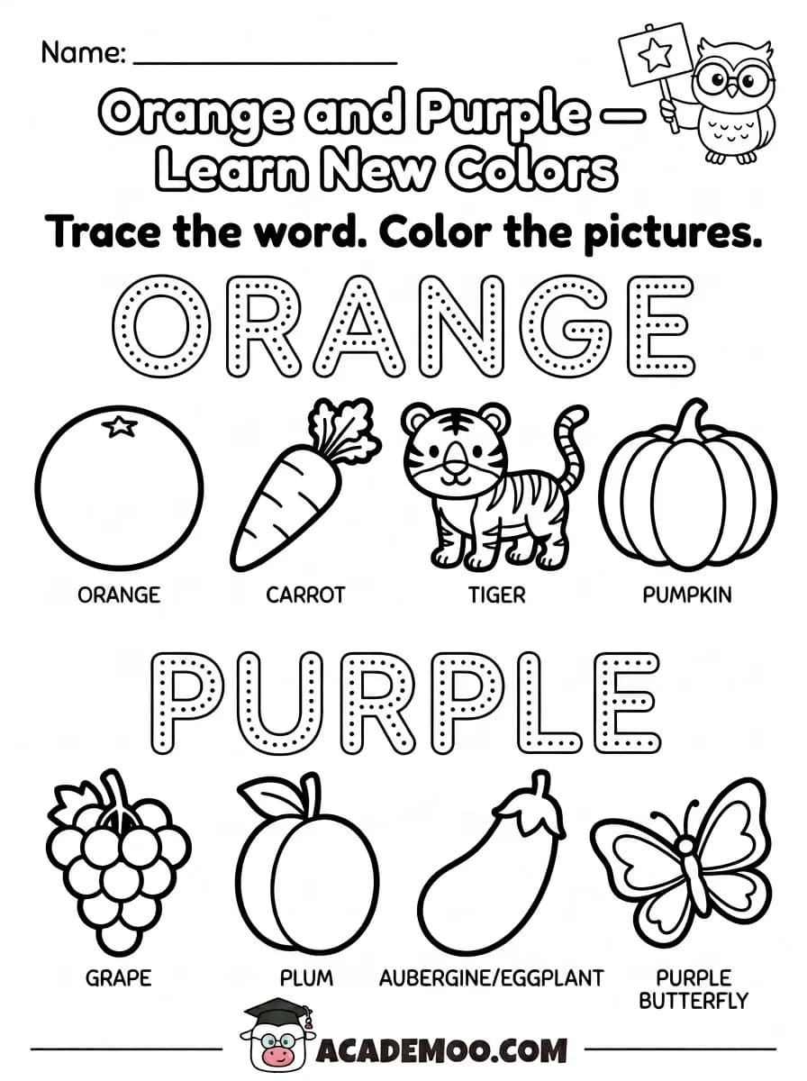 Orange and Purple Learn New Colors worksheet — kindergarten math printable PDF · Free printable orange and purple learn new colors worksheet for Kindergarten.