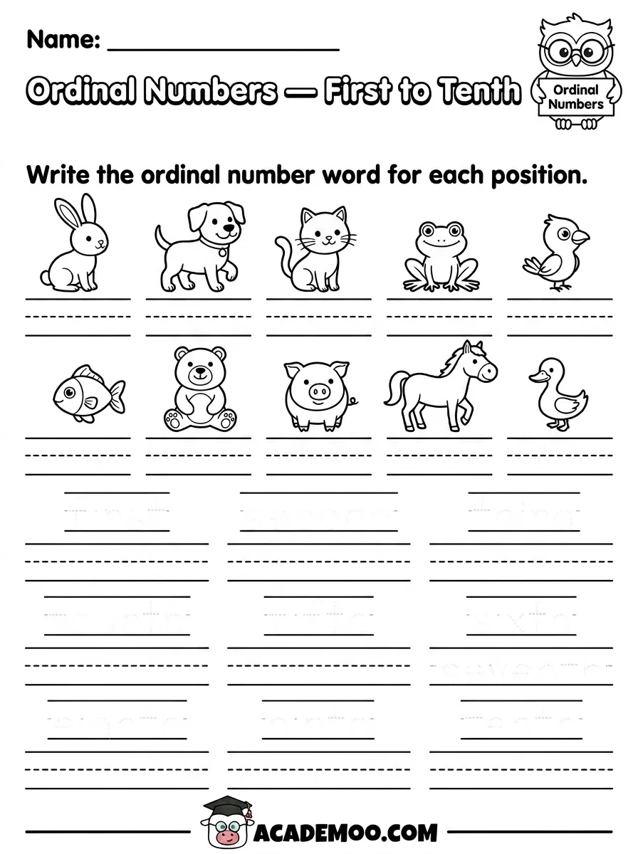 Ordinal Numbers First to Tenth worksheet — kindergarten math printable PDF · Free printable ordinal numbers first to tenth worksheet for Kindergarten.
