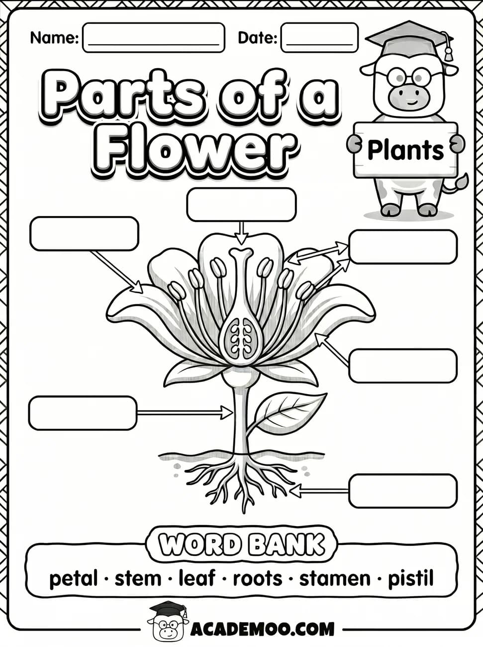 Parts of a Flower Labeling worksheet — 1st grade science printable PDF · Free printable parts of a flower labeling worksheet for 1st Grade.