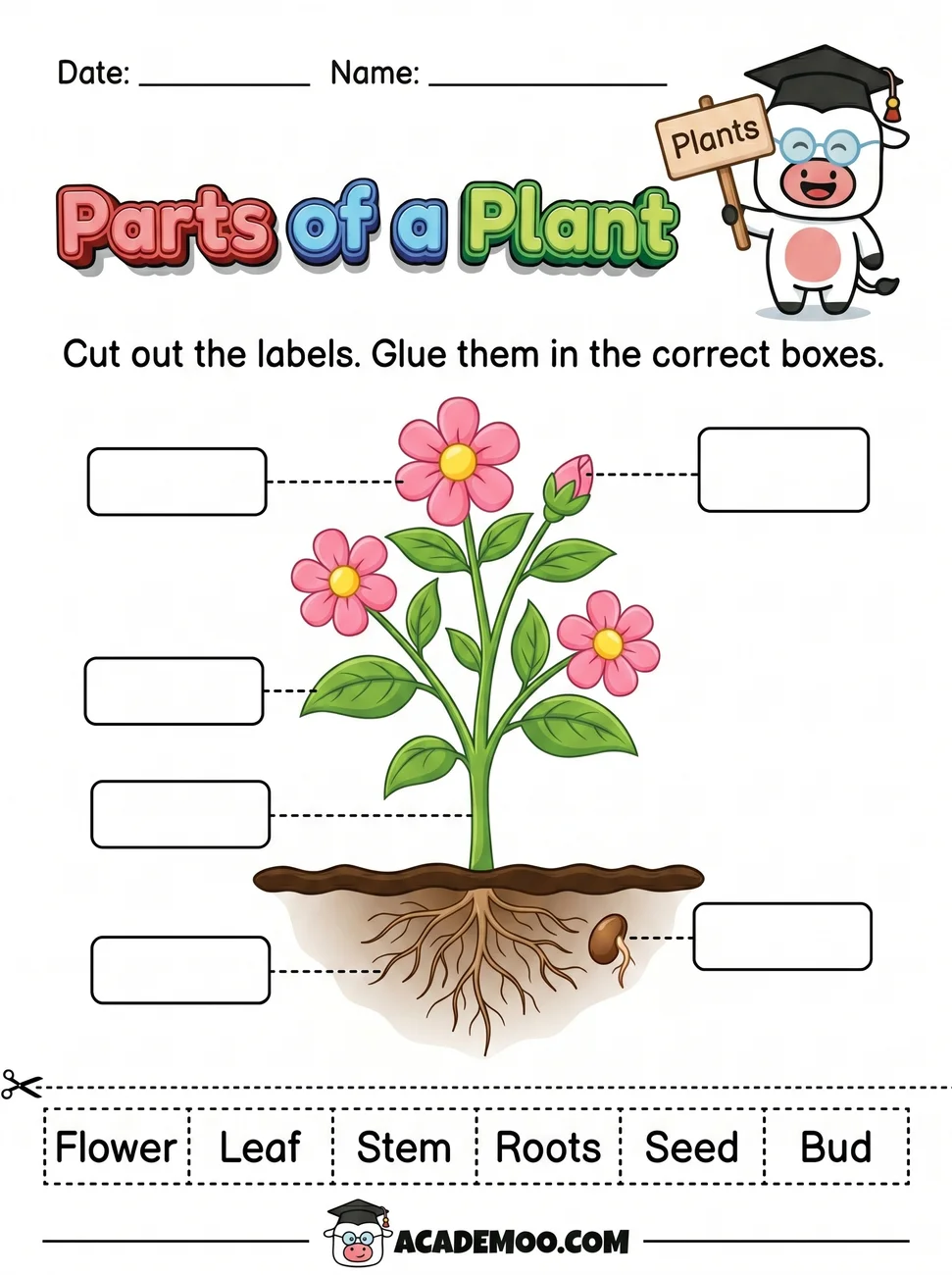 Parts of a Plant Cut and Paste worksheet — kindergarten science printable PDF · Free printable parts of a plant cut and paste worksheet for Kindergarten.