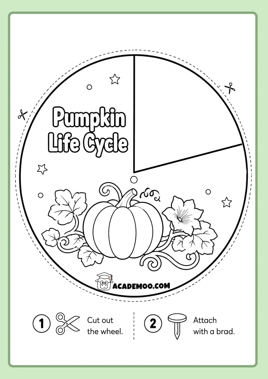 Pumpkin Life Cycle Wheel worksheet — 1st grade science printable PDF · Free printable pumpkin life cycle wheel worksheet for 1st Grade.
