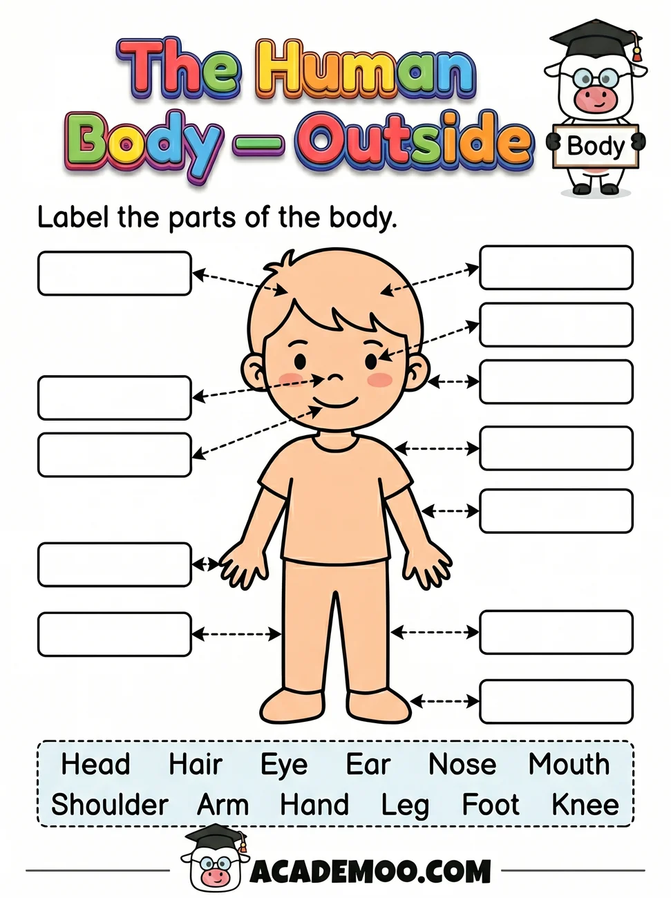 The Human Body Outside worksheet — kindergarten science printable PDF · Free printable the human body outside worksheet for Kindergarten.