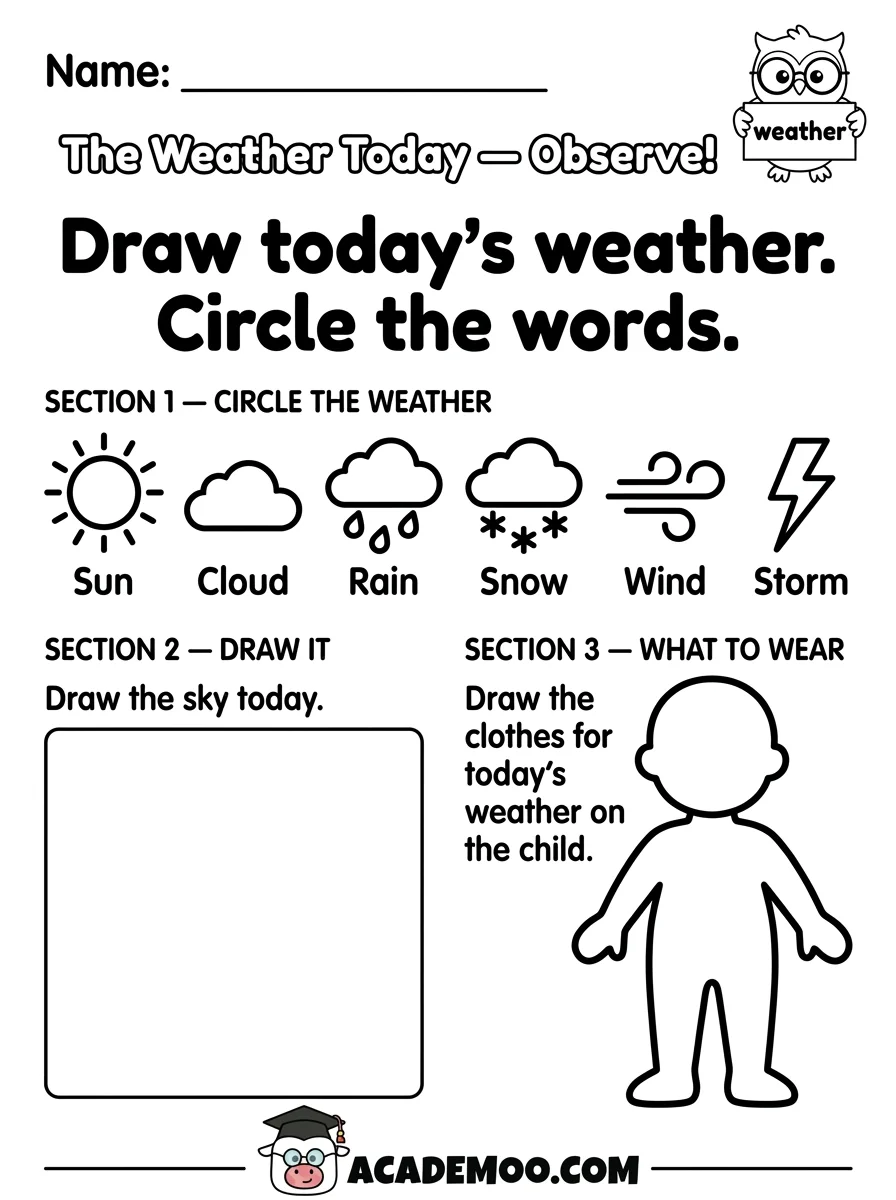 The Weather Today Observe worksheet — pre-k science printable PDF · Free printable The Weather Today Observe worksheet for Pre-K.