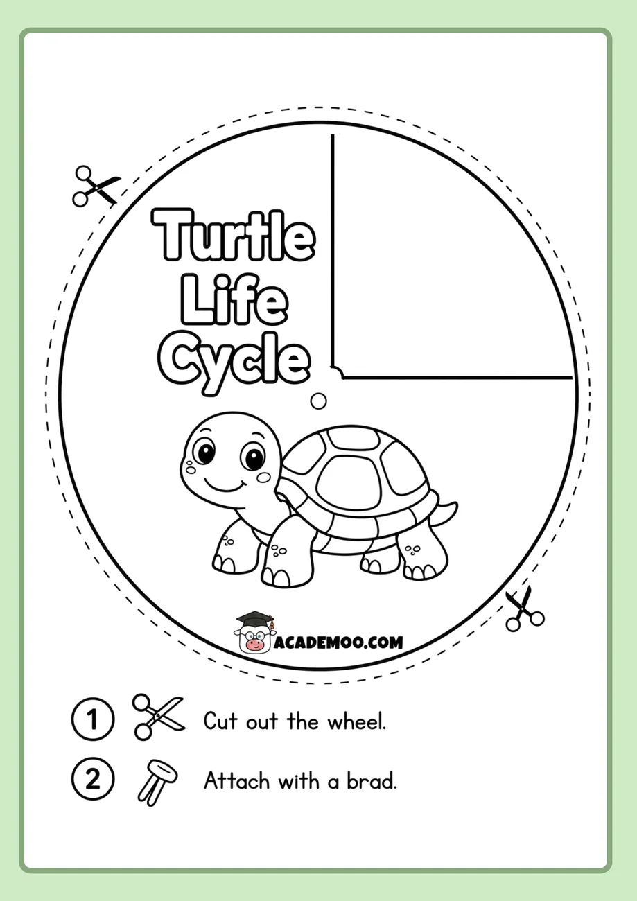 Turtle Life Cycle Wheel worksheet — 1st grade science printable PDF · Free printable turtle life cycle wheel worksheet for 1st Grade.